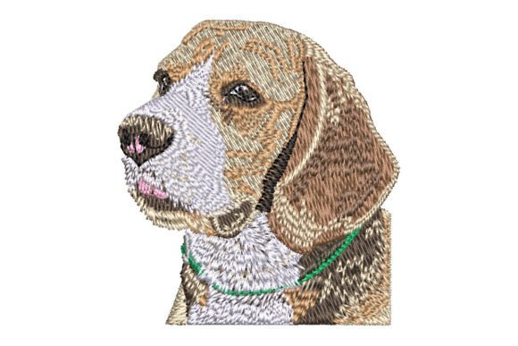 Beagle